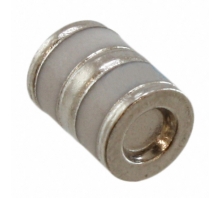 GTCN38-231M-R10 pilt