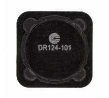 DR124-101-R pilt