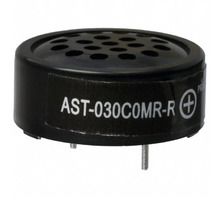 AST-030C0MR-R pilt